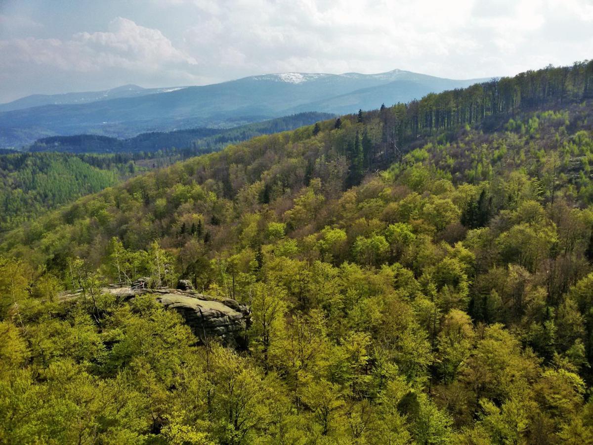Drewniana Roza Willa Karkonosze Piechowice  Extérieur photo