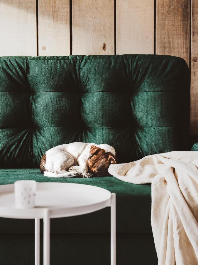 Drewniana Roza Willa Karkonosze Piechowice  Extérieur photo